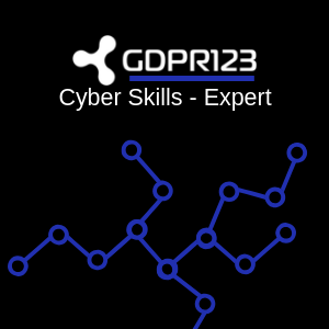 Cyber Skills Expert Training Logo